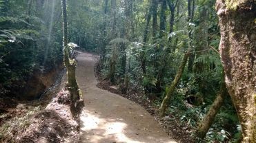 Path @ Gunung Putri
